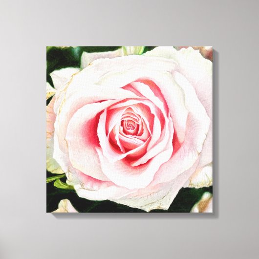 Rosa Rose Handgezeichnet Stift Kunstdrucken Leinwanddruck (Vorderseite)