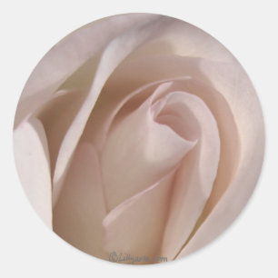 Rosa-Rose-Hochzeitsfeier Siegel Runder Aufkleber
