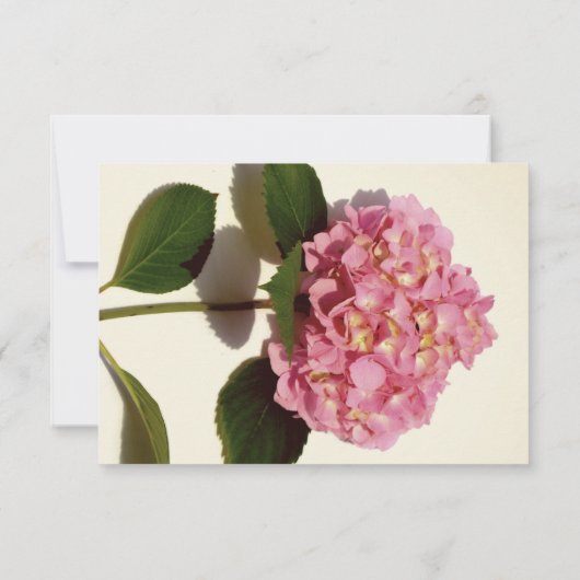 Rosa Rose Hydrangea Save The Date (Rückseite)