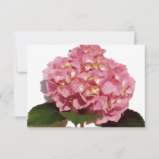 Rosa Rose Hydrangea Save The Date (Rückseite)