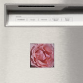 Rosa Rose II Hübsch Magnet (In Situ (Geschirrspüler))