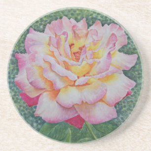 Rosa Rose im Frühling Getränkeuntersetzer