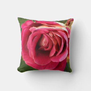 Rosa Rose im Garten Kissen