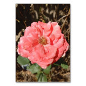 Rosa Rose im nahen Garten Tischnummer (Vorderseite)