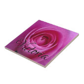 Rosa Rose in der Blüte mit Ihrer Fliese (Seite)