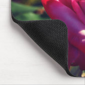 Rosa Rose in der Hohen Sonne Mousepad (Ecke)