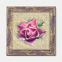 Rosa Rose in der Leinwand Frame Magnet