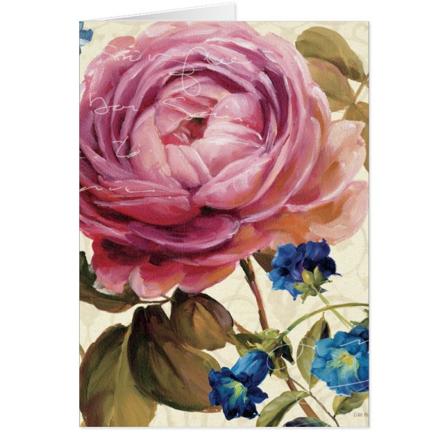 Rosa Rose in der vollen Blüte (Vorne)