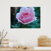 Rosa Rose in Grün Poster (Küche)