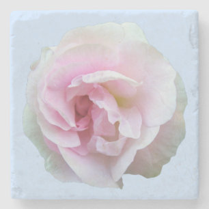 Rosa Rose in hellblauem Blau Steinuntersetzer