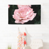 Rosa Rose in Vollblut Banner (Insitu)