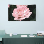 Rosa Rose in Vollblut Banner (Messeveranstaltung)
