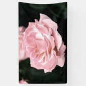 Rosa Rose in Vollblut Banner (Vertikal)