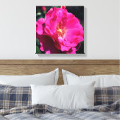 Rosa Rose in voller Blüte Nah Leinwanddruck (Insitu (Schlafzimmer))