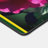 Rosa Rose in voller Blüte Personalisiert Nah Schreibtischunterlage (Ecke)