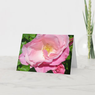 Rosa Rose Karte