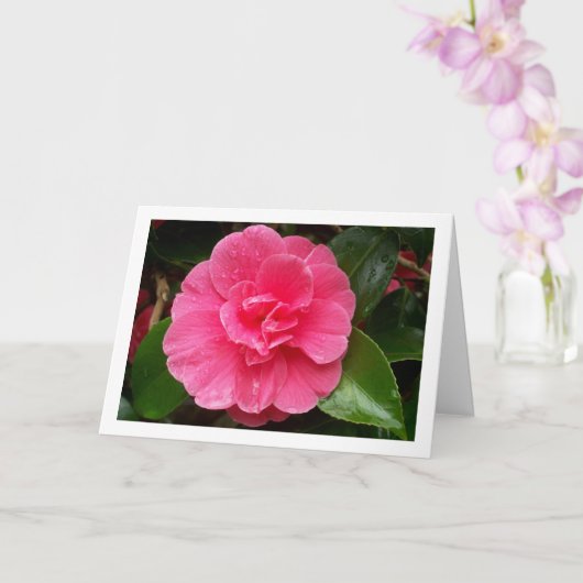 Rosa Rose Karte (Orchidee)