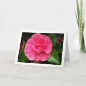 Rosa Rose Karte (Vorderseite)
