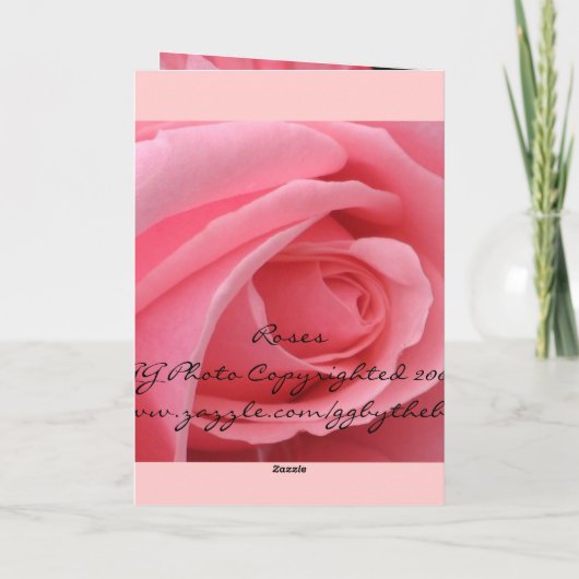 Rosa Rose Karte (Rückseite)