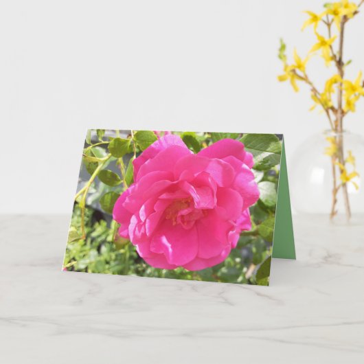 Rosa Rose Karte (Gelbe Blume)