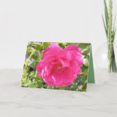 Rosa Rose Karte (Vorderseite)