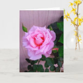 Rosa Rose Karte (Gelbe Blume)