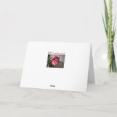 Rosa Rose Karte (Rückseite)