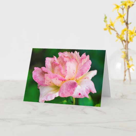 Rosa Rose Karte (Gelbe Blume)