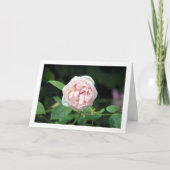 Rosa Rose Karte (Vorderseite)