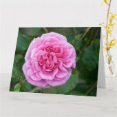 Rosa Rose Karte (Gelbe Blume)