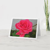 Rosa Rose Karte (Vorderseite)