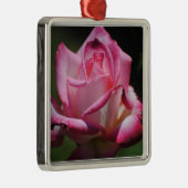 Rosa Rose Kordes Perfecta Verzierung Ornament Aus Metall (Rechts)