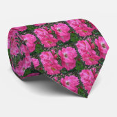 Rosa Rose Krawatte (Gerollt)