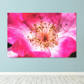 Rosa Rose Leinwanddruck (Insitu (Holzboden))