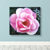 Rosa Rose Leinwanddruck (Insitu (Holzboden))