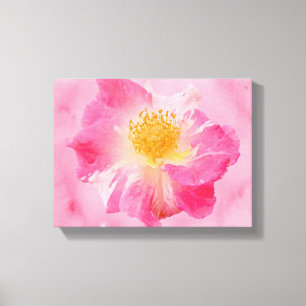 Rosa Rose Leinwanddruck