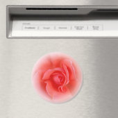 Rosa Rose Magnet (In Situ (Geschirrspüler))