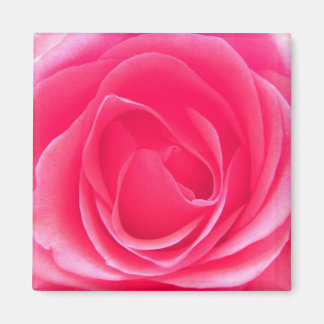 Rosa Rose Magnet