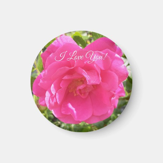 Rosa Rose Magnet (Vorne)