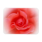 Rosa Rose Magnet (Horizontal)