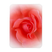 Rosa Rose Magnet (Vertikal)