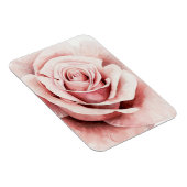 Rosa Rose Magnet (Rechte Seite)