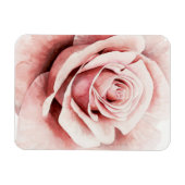 Rosa Rose Magnet (Horizontal)
