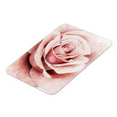 Rosa Rose Magnet (Linke Seite)