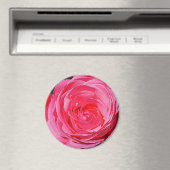 Rosa Rose Magnet (In Situ (Geschirrspüler))