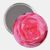 Rosa Rose Magnet (Vorderseite/Rückseite)