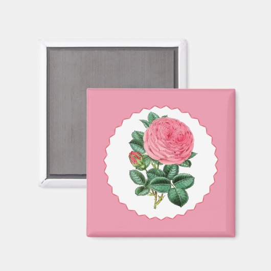 Rosa Rose Magnet (Vorderseite/Rückseite)