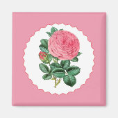 Rosa Rose Magnet (Vorne)