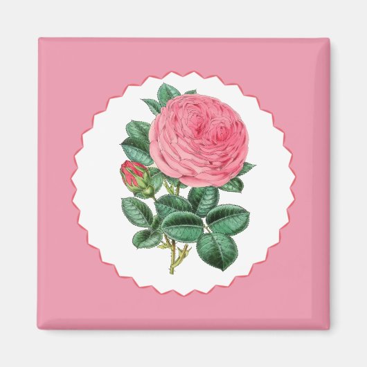 Rosa Rose Magnet (Vorne)