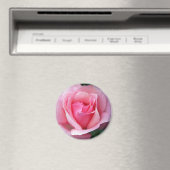 Rosa Rose Magnet (In Situ (Geschirrspüler))